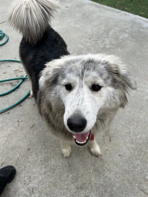 Dundun