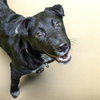 DANTE - Photo 1
