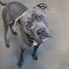 CHUBBZ - Photo 1