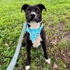 SAMPSON - Photo 1