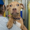 THELMA - Photo 1