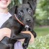 DARLA - Photo 1