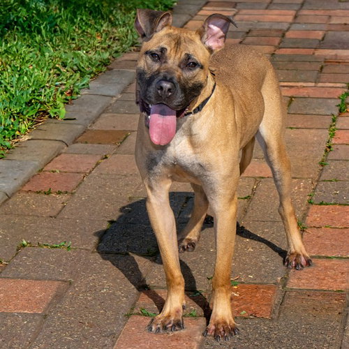 Max