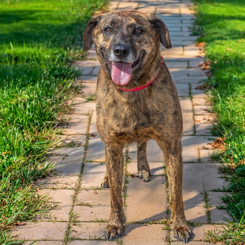 Bella