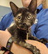 BINX - Photo 1