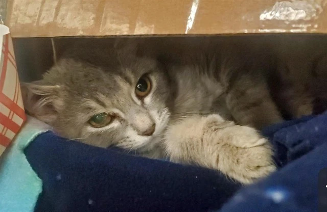 Luna