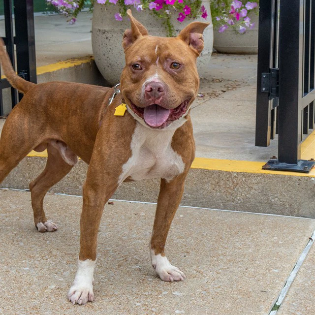 Dreamy
