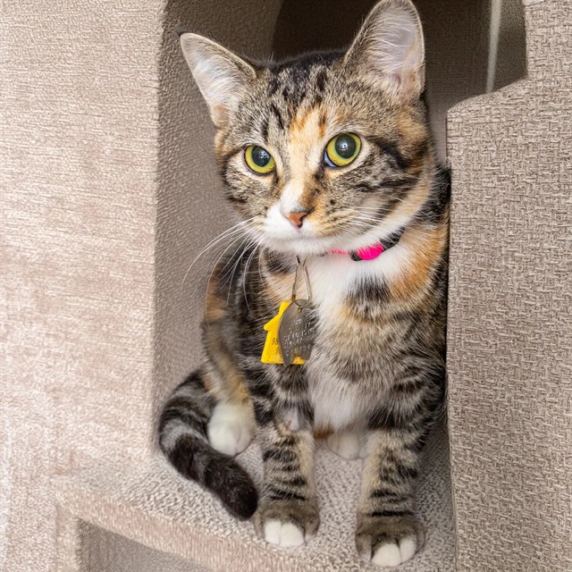 Mia