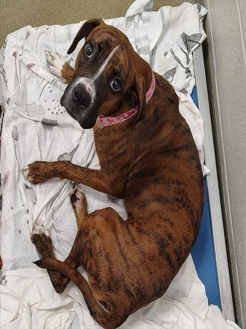 Luna