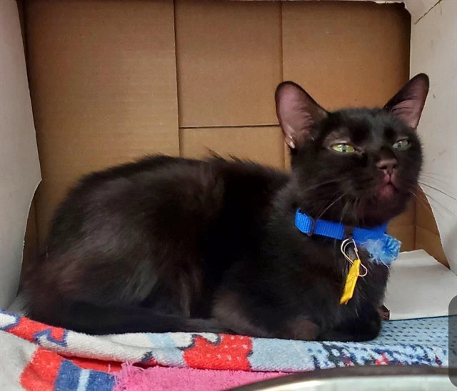 Mary Beth