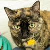 THELMA - Photo 1