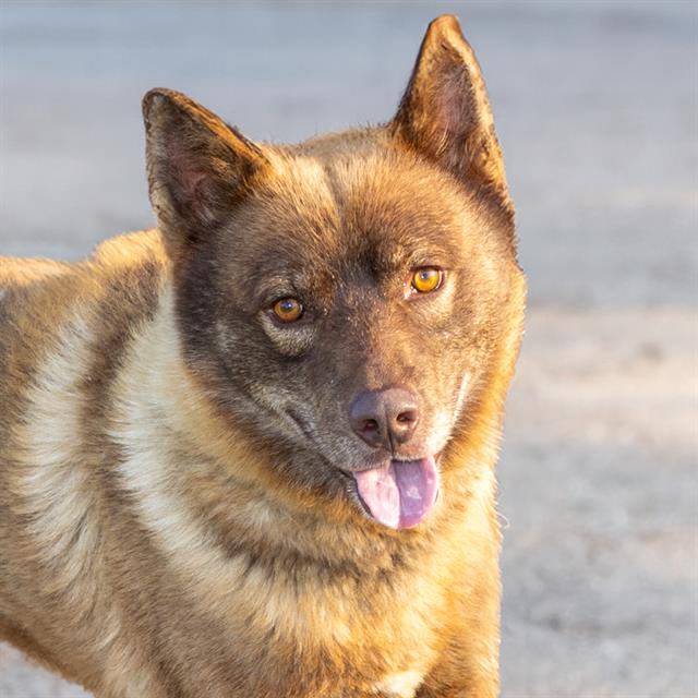 Kenai