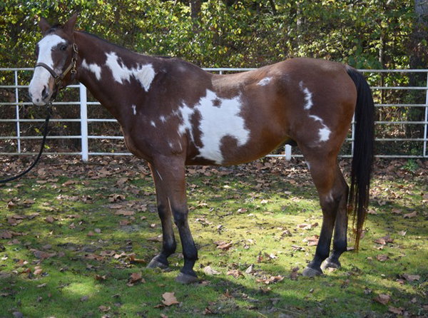 PRINCE GEORGE