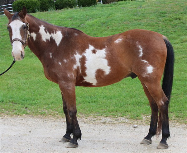 PRINCE GEORGE
