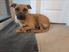 WINSTON - Photo 1