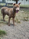 CLYDE - Photo 1