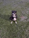 RUBY - Photo 1