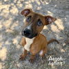 AEGON - Photo 1
