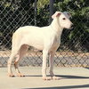EASTON - Photo 1
