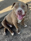 WALLY - Photo 1