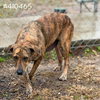 BIANCA - Photo 1