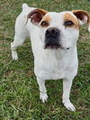 GARTH - Photo 1