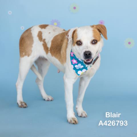 BLAIR