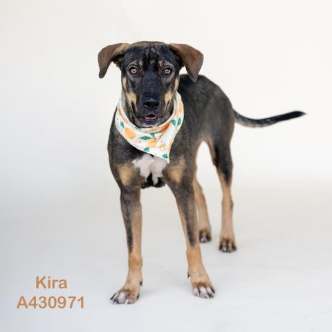 KIRA