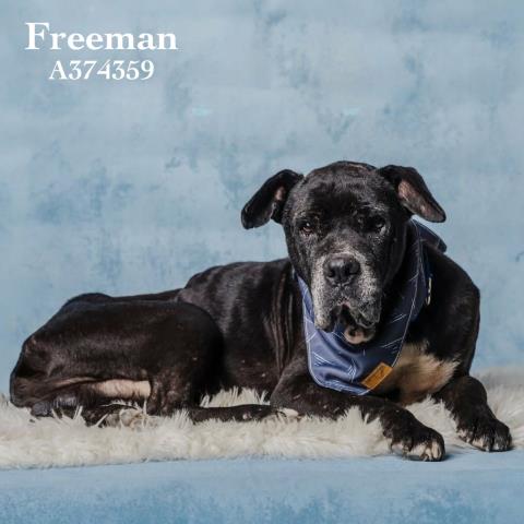 Freeman