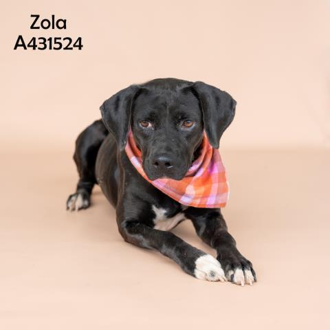 Zola