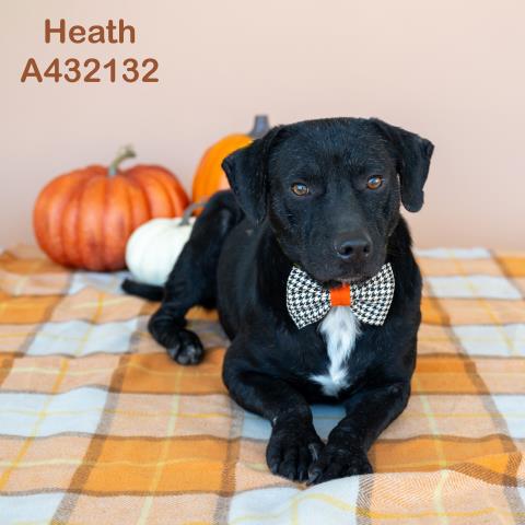 HEATH