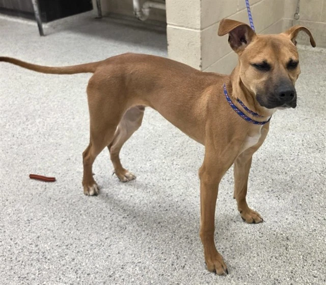 Oliver