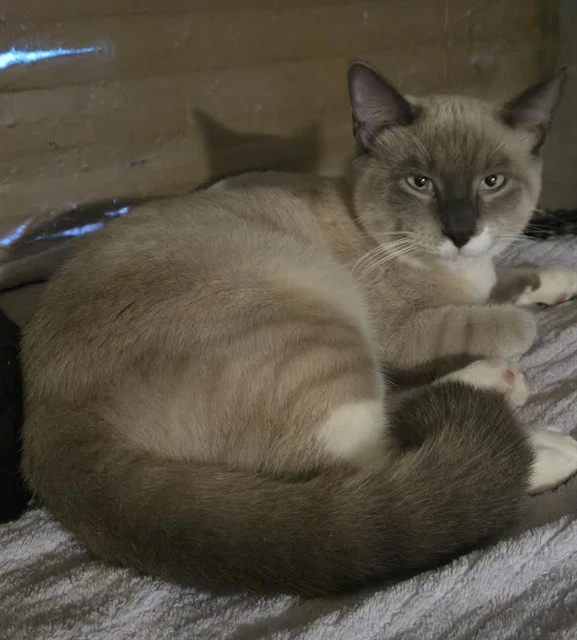 Jonesy