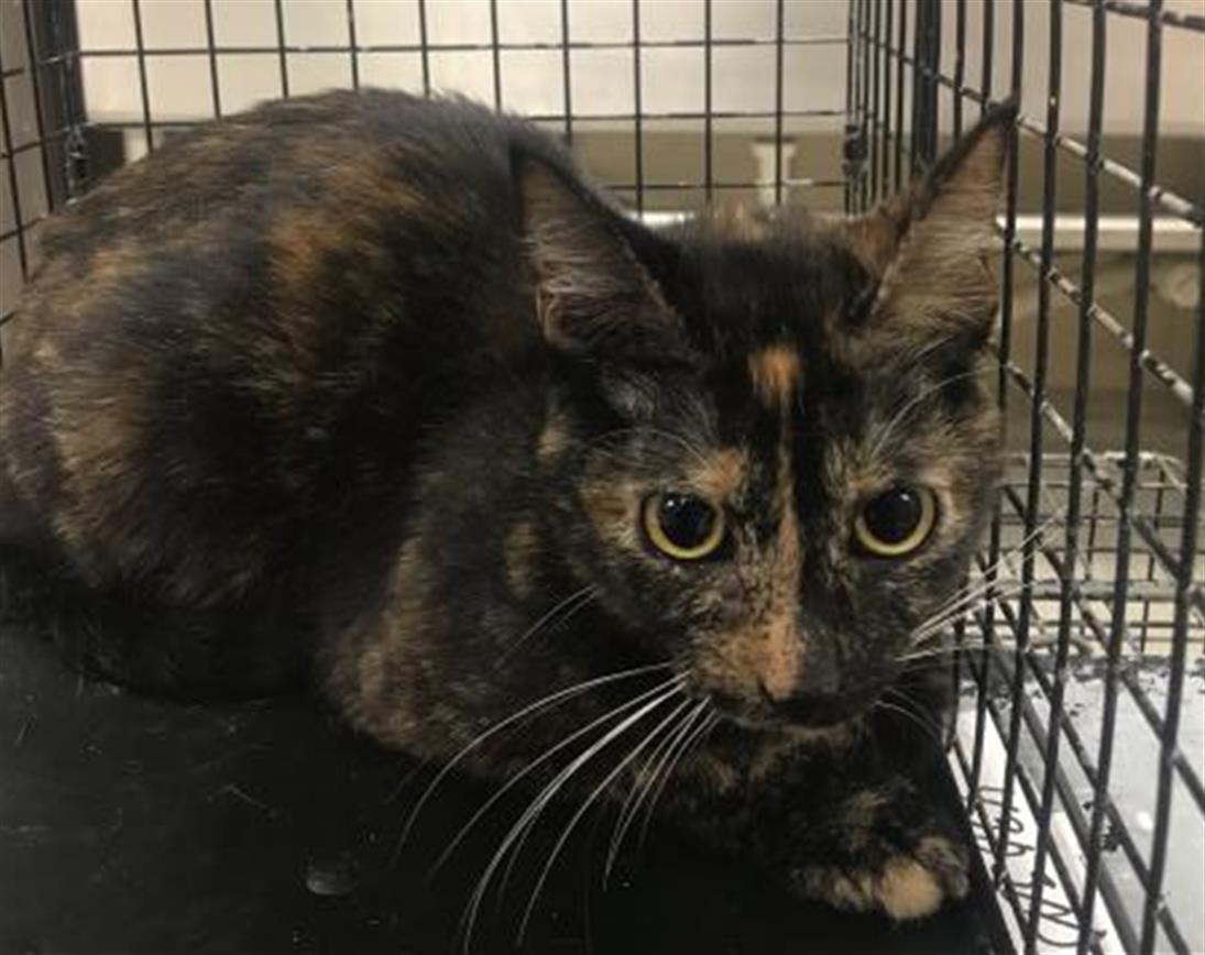 Barnaby