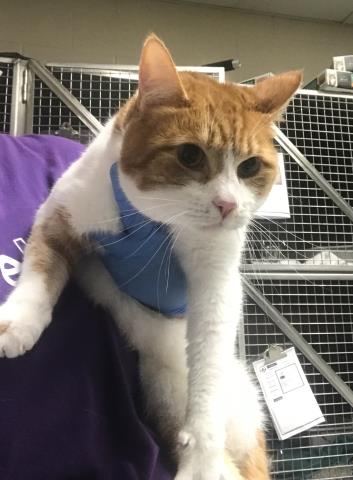 Milo