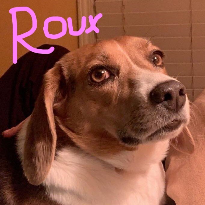 adoptable Dog in Bishop, GA named Roux