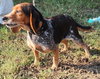 Betty Jo - Photo 1