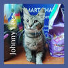 adoptable Cat in  named JOHNNY LEE