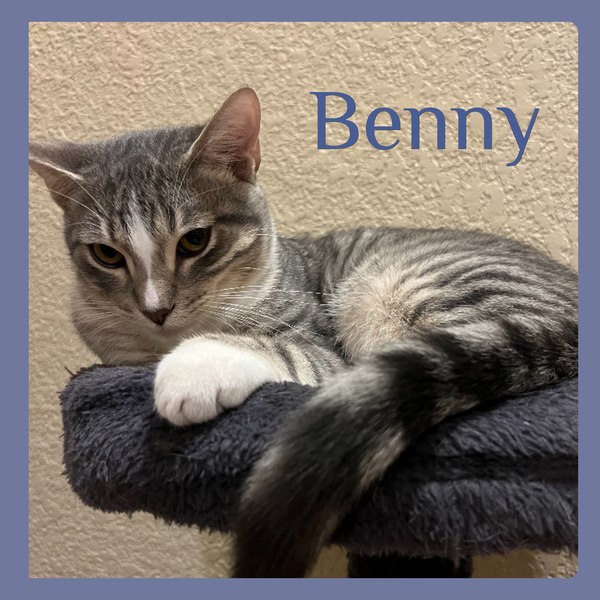 BENNY