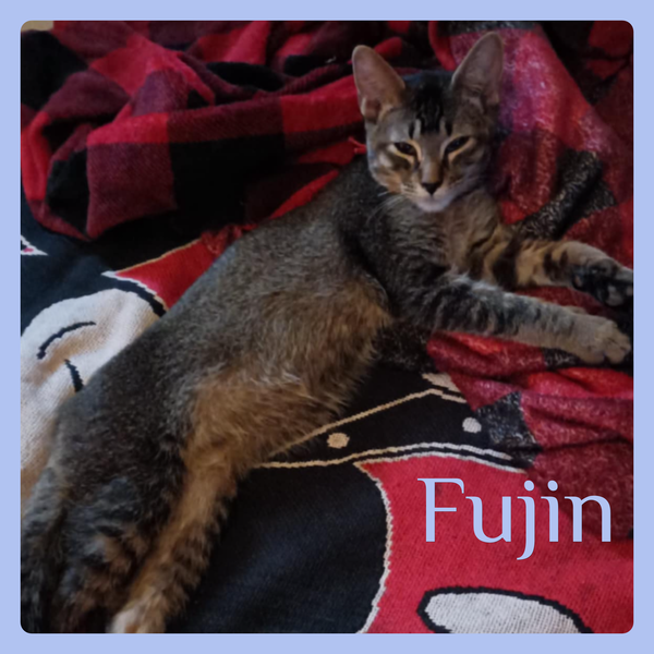 FUJIN