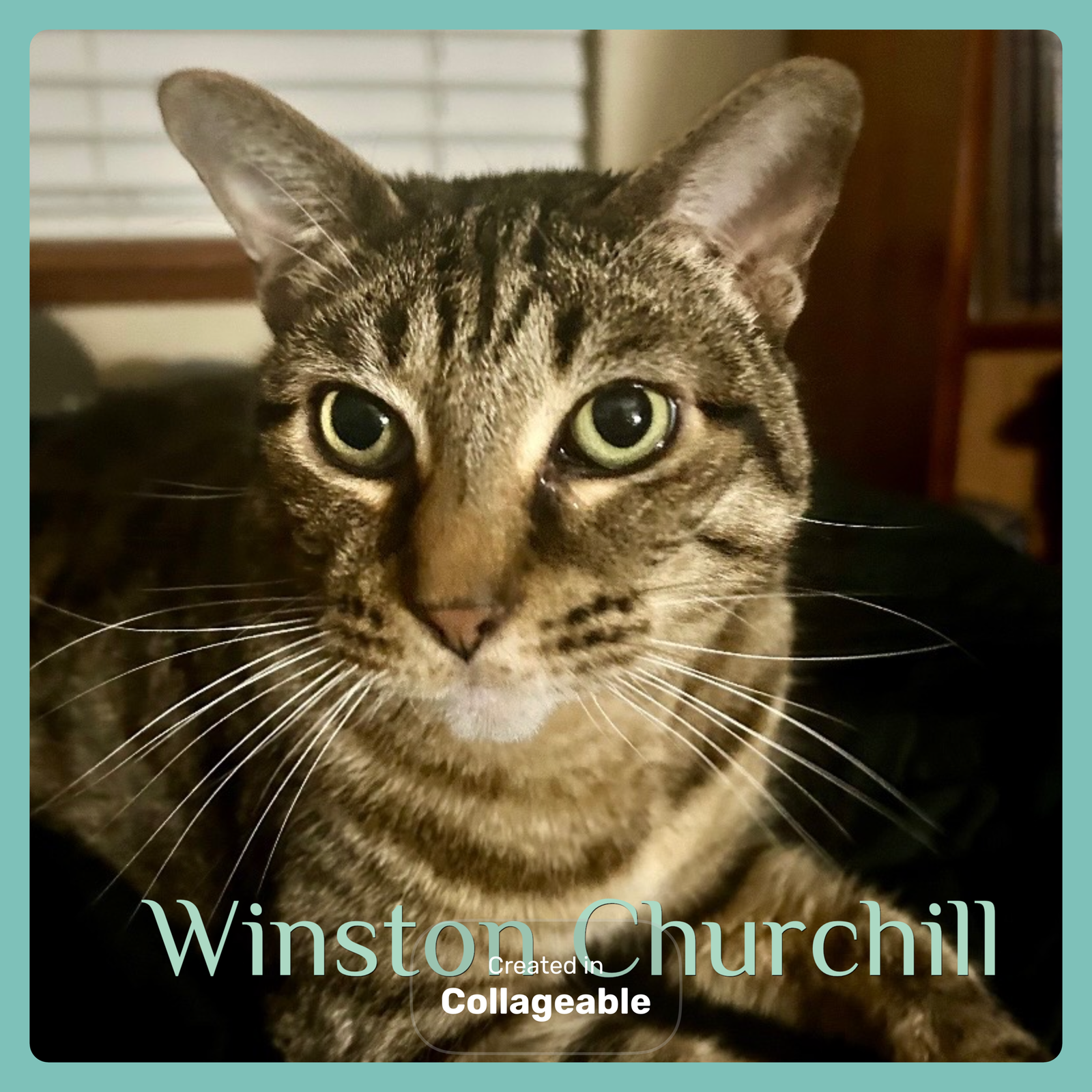 WINSTON CHURCHILL Image