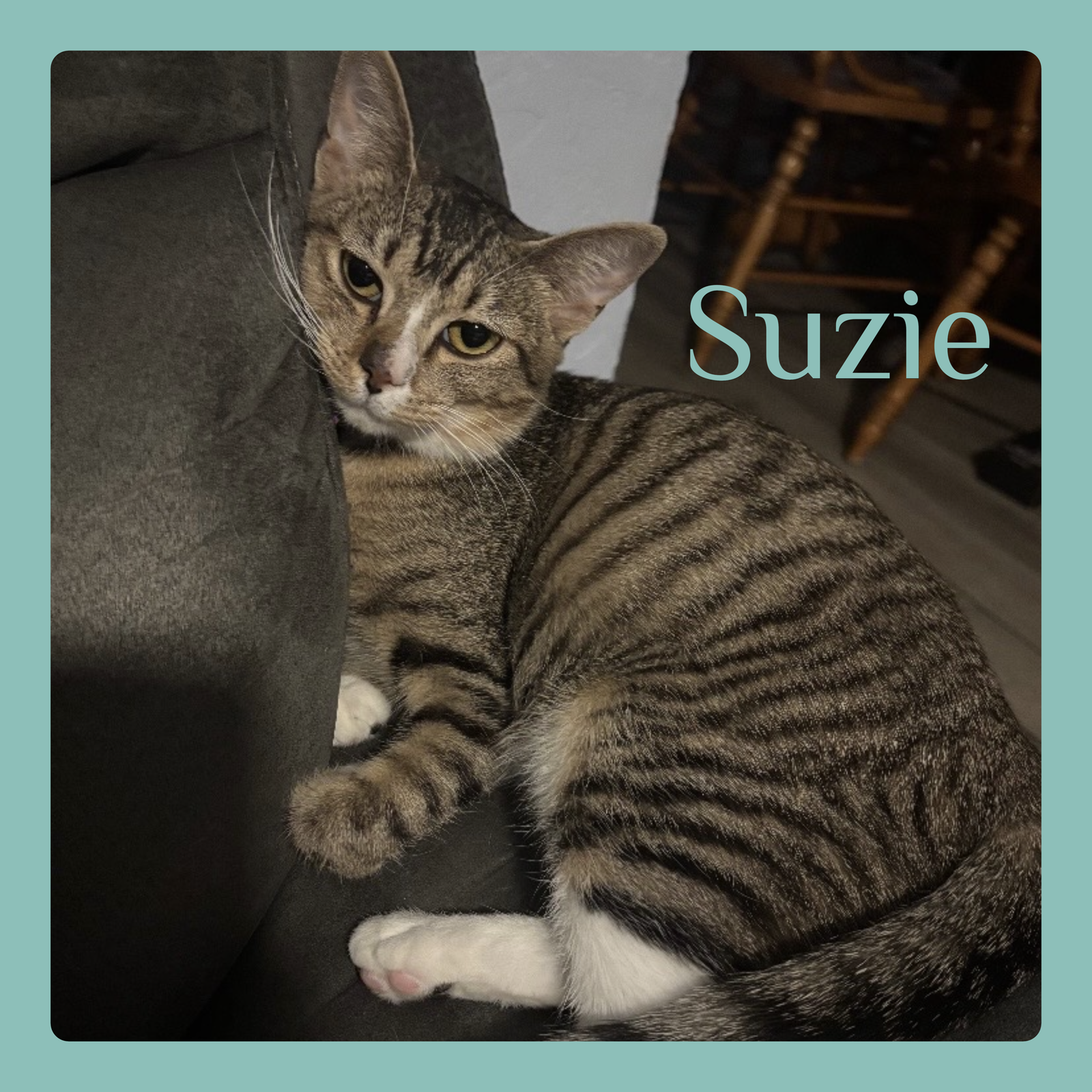 SUZIE Image