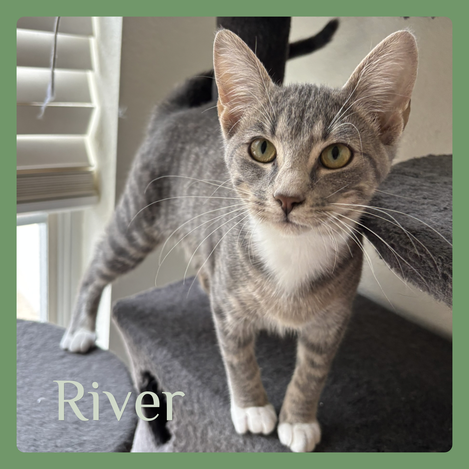 RIVER Image
