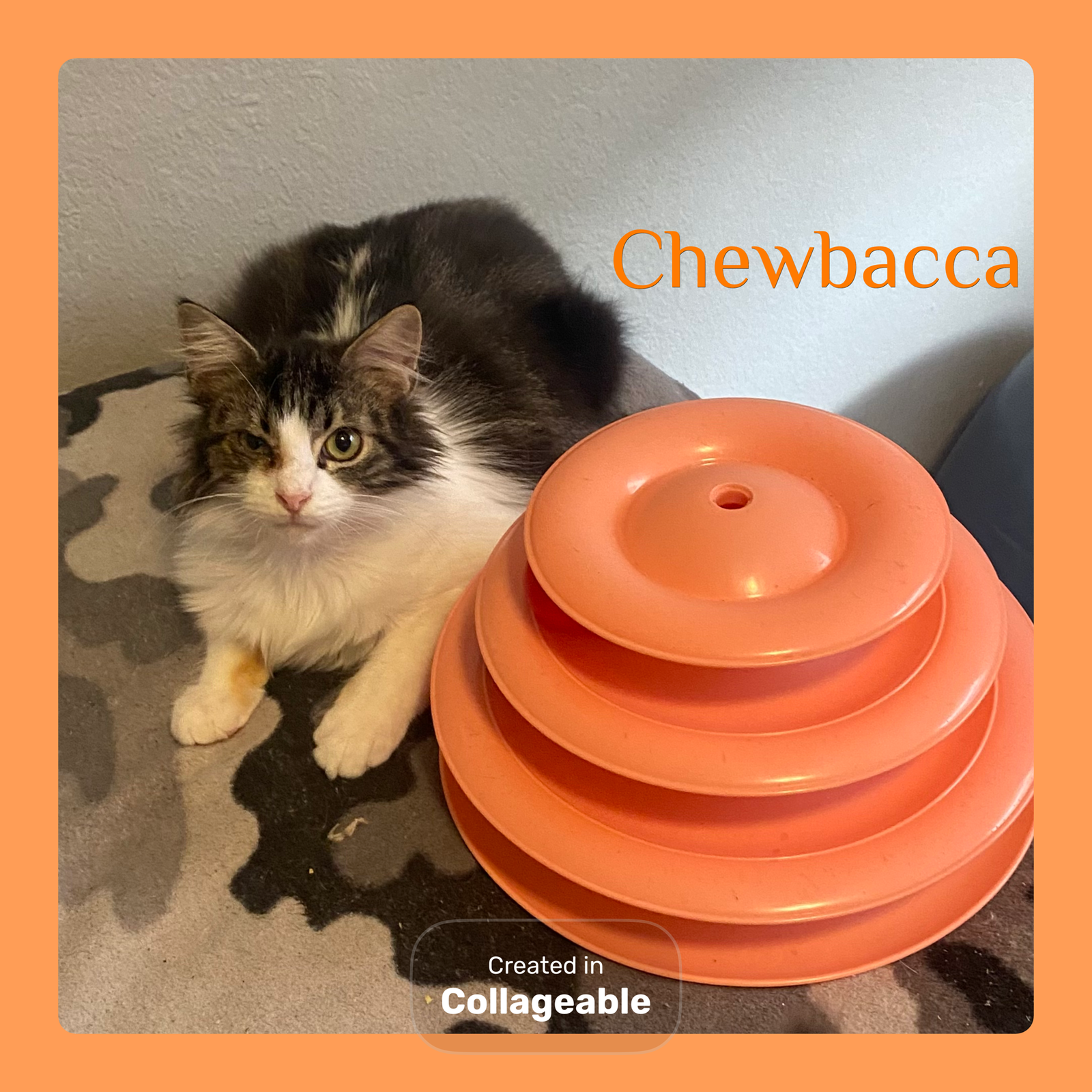 CHEWBACCA