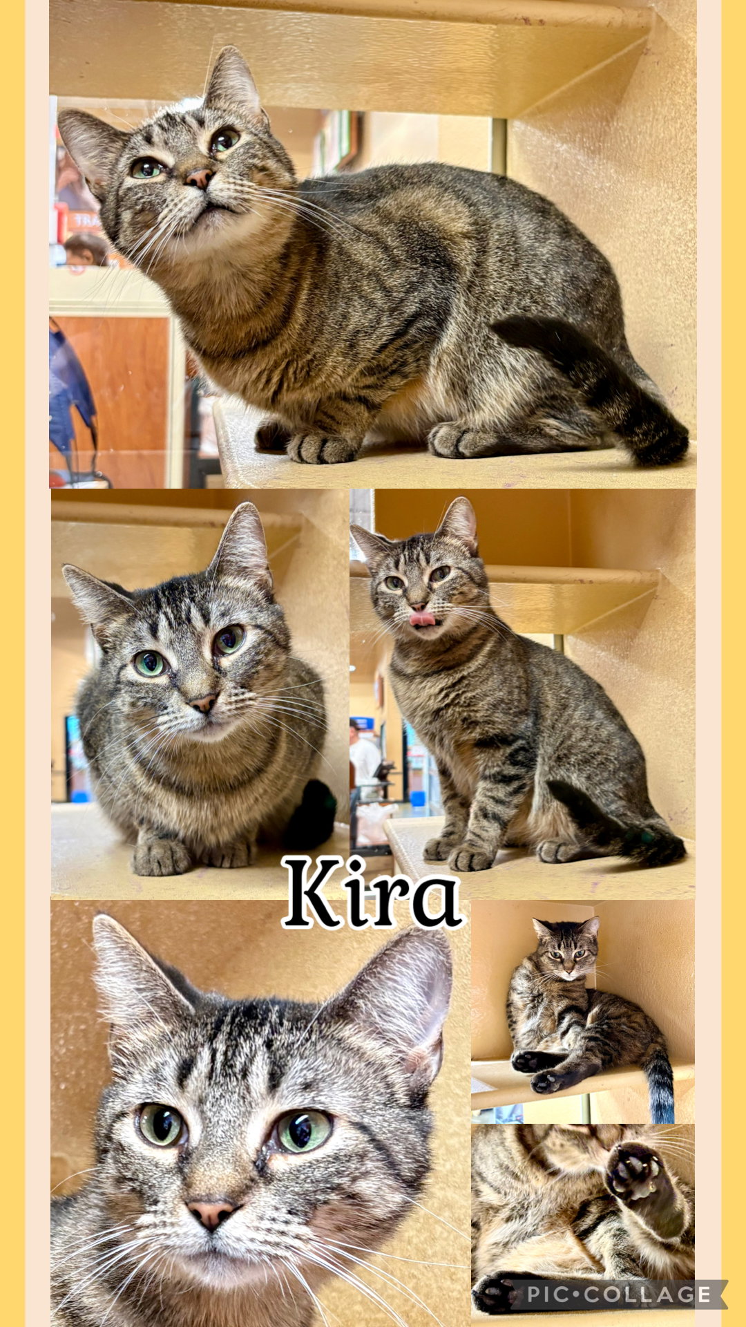 KIRA