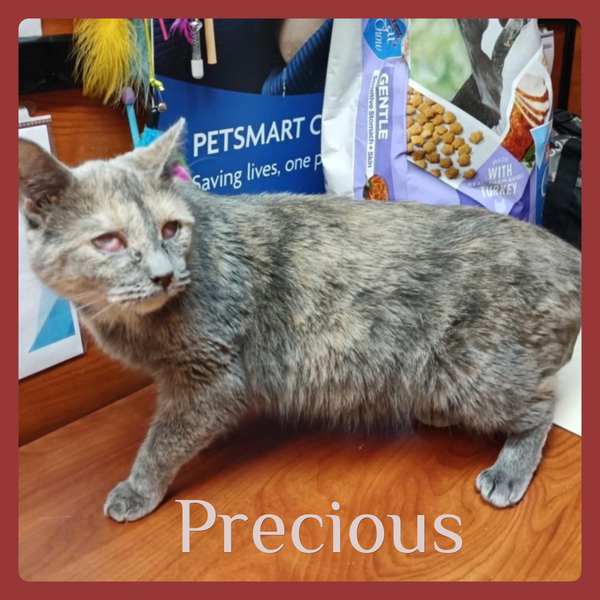 PRECIOUS
