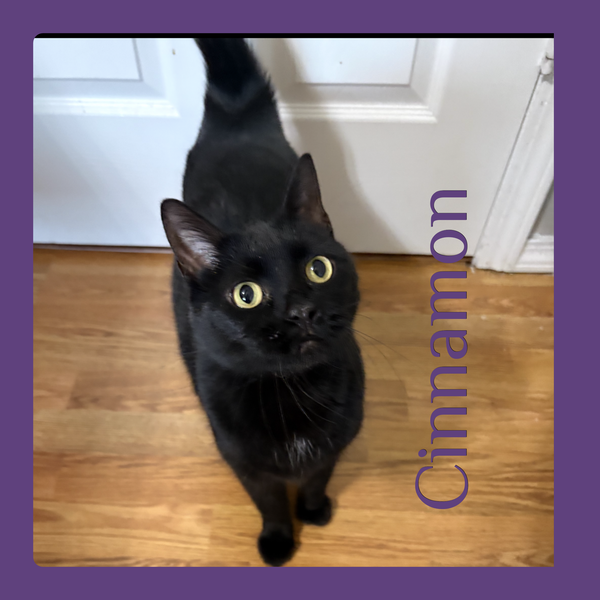 CINNAMON
