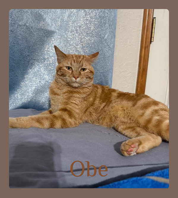 OBE