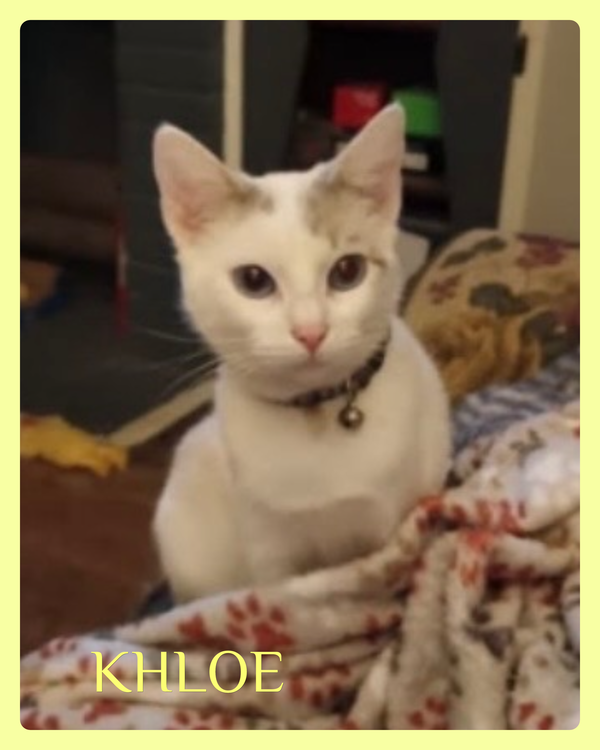 KHLOE