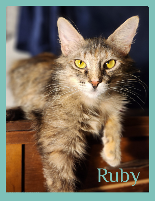 RUBY